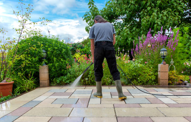 Professional  Pressure Washing Services in Gold River, CA
